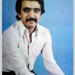 دانلود آهنگ دیوانه ی من ( پروانه ی من ) از فریدون فروغی